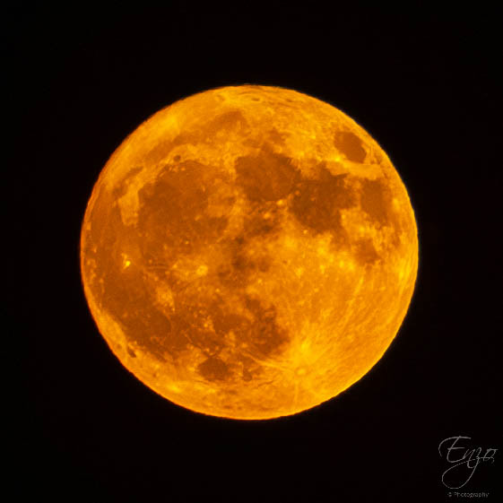 Moon